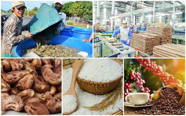Những sản phẩm của Việt Nam xuất khẩu đến Liên minh châu Âu