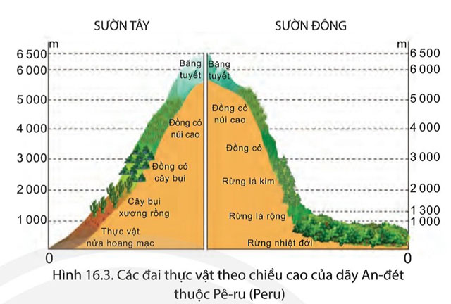 Hình 16.3 trang 156 sgk Lịch sử và địa lí 7 CTST