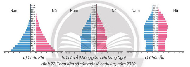 so sánh tháp dân số của châu Phi, châu Á, châu Âu