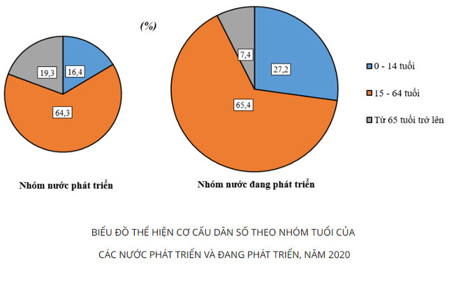 biểu đồ thể hiện cơ cấu dân số theo nhóm tuổi của các nước phát triển và đang phát triển