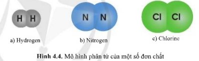 Giải KHTN lớp 7 Cánh Diều Bài 4 hình 4.4