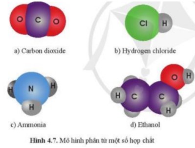 Giải KHTN lớp 7 Cánh Diều Bài 4 hình 4.7