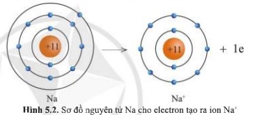 Giải KHTN lớp 7 Cánh Diều Bài 5 hình 5.2