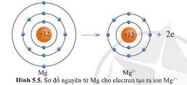 Giải KHTN lớp 7 Cánh Diều Bài 5 hình 5.5