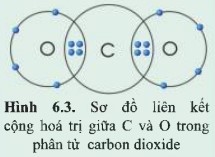 Giải KHTN lớp 7 Cánh Diều Bài 6 hình 6.3