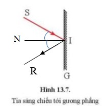 Giải KHTN lớp 7 Cánh Diều Bài 13 luyện tập 2