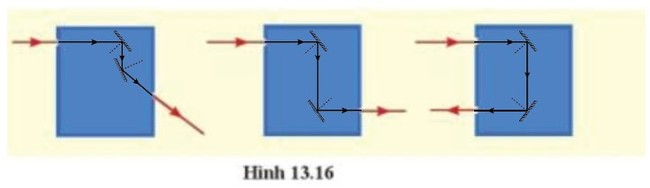 Giải KHTN lớp 7 Cánh Diều Bài tập Chủ đề 6 câu 2