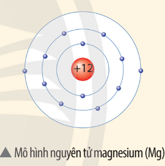 Câu hỏi củng cố trang 17 SGK Khoa học tự nhiên 7 CTST