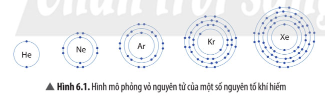 Câu 1 trang 37 SGK Khoa học tự nhiên 7 CTST