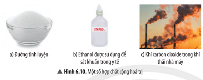 Câu 11 trang 42 SGK Khoa học tự nhiên 7 CTST