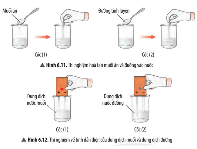 Hình 6.11, 6.12 trang 42, 43 SGK Khoa học tự nhiên 7 CTST