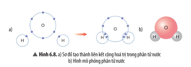 Hình 6.8 trang 41 SGK Khoa học tự nhiên 7 CTST