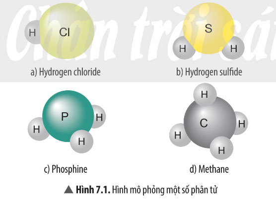 Hình 7.1 trang 45 SGK Khoa học tự nhiên 7 CTST