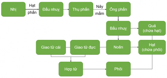 Câu hỏi củng cố trang 171 SGK Khoa học tự nhiên 7 CTST