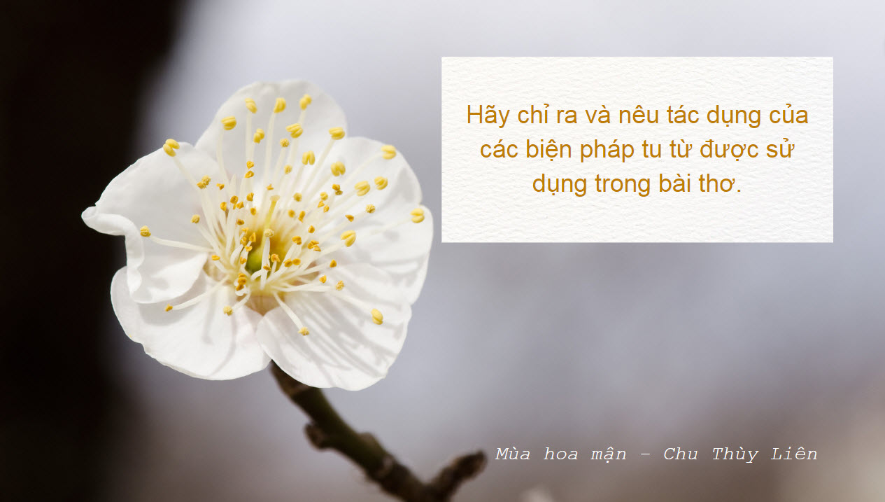 Tac Dung Cua Cac Bien Phap Tu Tu