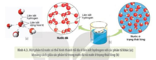 Cấu trúc hóa học của nước quy định các tính chất vật lí nào