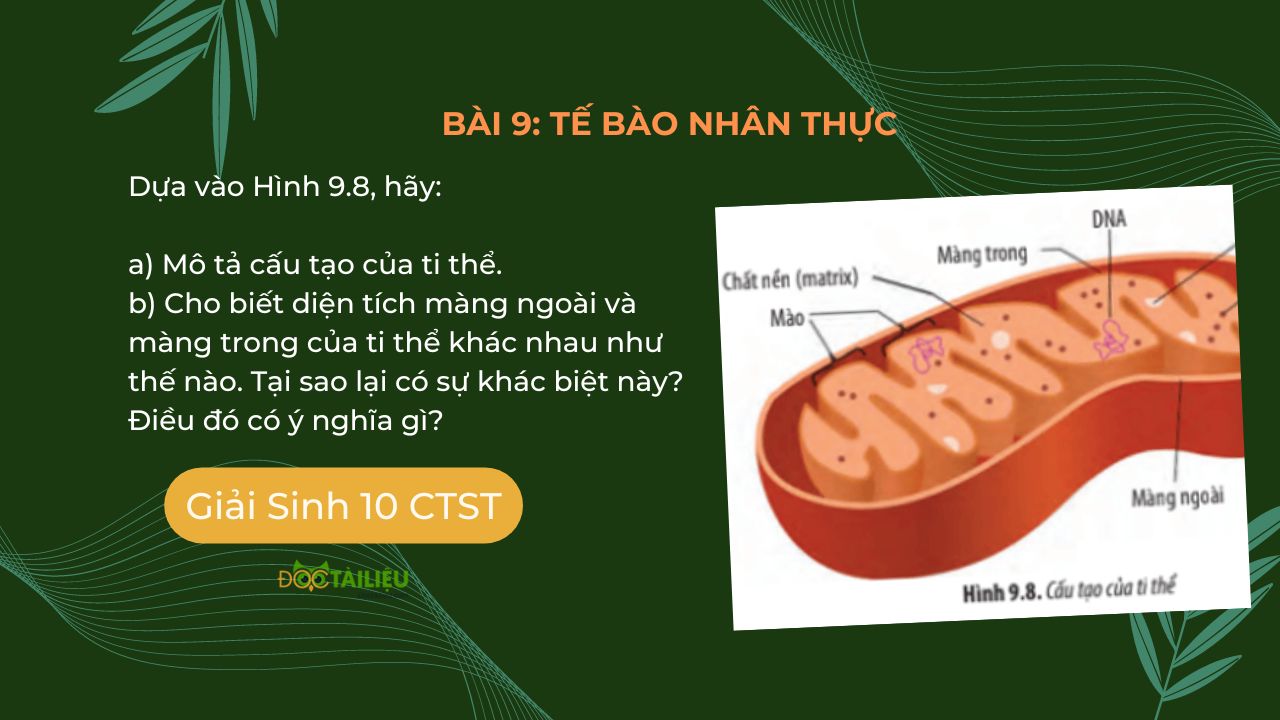 Vi khuẩn là gì Hình thể cấu trúc và sinh lý