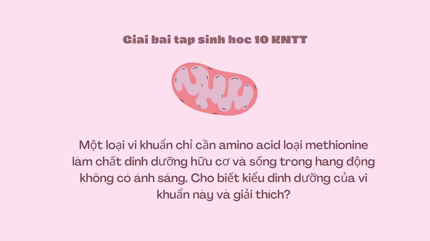 Có một số loài vi khuẩn khác cũng chỉ cần amino acid loại methionine để sống không?
