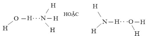 Vẽ các liên kết hydrogen giữa H2O với mỗi phân tử NH3, C2H5OH hình 1