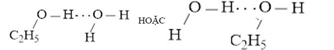 Vẽ các liên kết hydrogen giữa H2O với mỗi phân tử NH3, C2H5OH hình 2