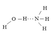 Viết các khả năng tạo thành liên kết hydrogen giữa H2O và NH3 hình 1