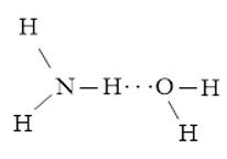Viết các khả năng tạo thành liên kết hydrogen giữa H2O và NH3 hình 2