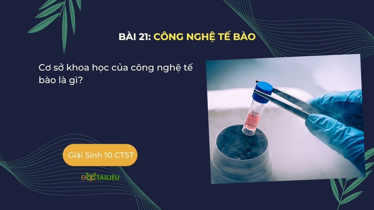 Cơ sở khoa học của công nghệ tế bào là gì?