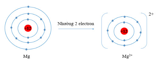 Nguyên tử Mg có 2 electron lớp ngoài cùng
