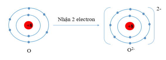 Nguyên tử O có 6 electron lớp ngoài cùng 