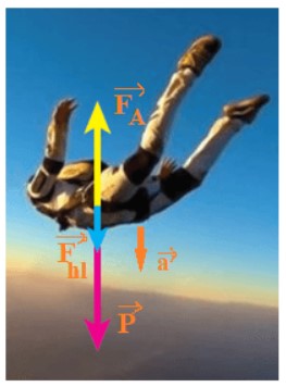 Biểu diễn hợp lực và gia tốc của người nhảy dù khi đang rơi hình 1