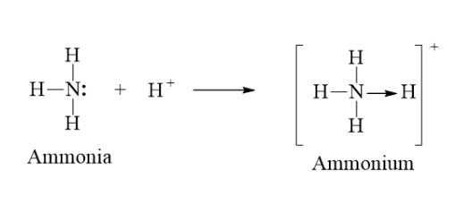 Trình bày liên kết cho nhận trong ion NH4