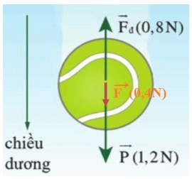 Xác định độ lớn và hướng của hợp lực F bằng cách dựng các vectơ