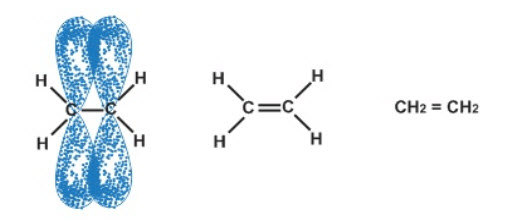 Sơ đồ xen phủ orbital giữa 2 nguyên tử carbon hình thành liên kết đôi trong phân tử ethylene