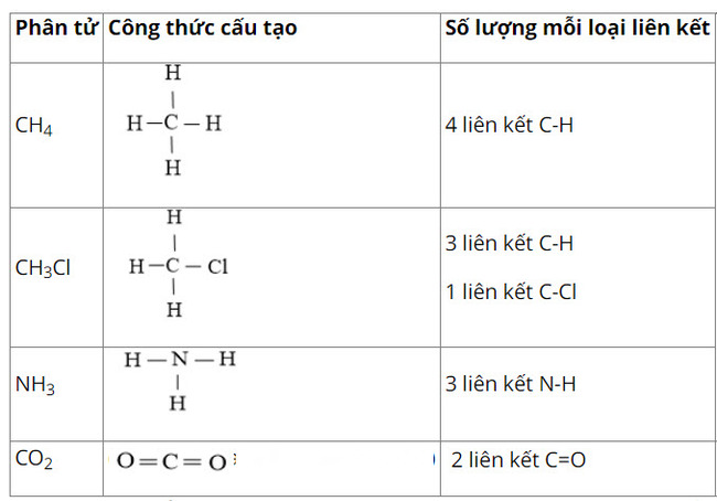 số lượng mỗi loại liên kết trong các phân tử sau: CH4, CH3Cl, NH3, CO2.