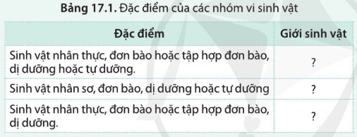 Cho biết vi sinh vật có nhóm đặc điểm liệt kê ở bảng 17.1 thuộc giới nào