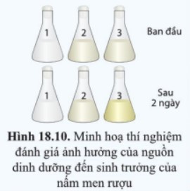 Thí nghiệm đánh giá ảnh hưởng của nguồn dinh dưỡng