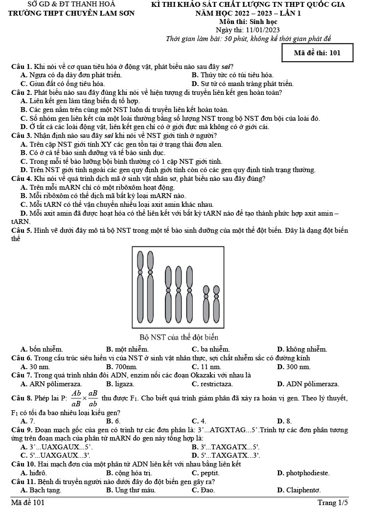 Đề thi thử thpt quốc gia 2023 môn sinh chuyên Lam Sơn lần 1 trang 1