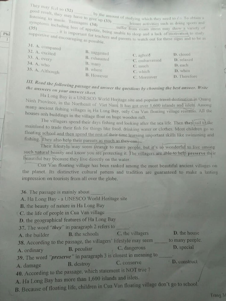 Đề thi thử tiếng Anh vào lớp 10 trường THPT Hàm Rồng trang 3