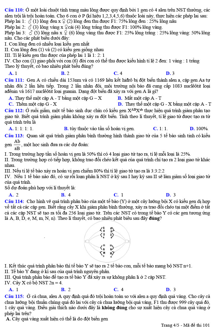 Đề thi thử Sinh học THPT Quốc gia 2023 sở GD&ĐT Hải Phòng (ảnh 4)