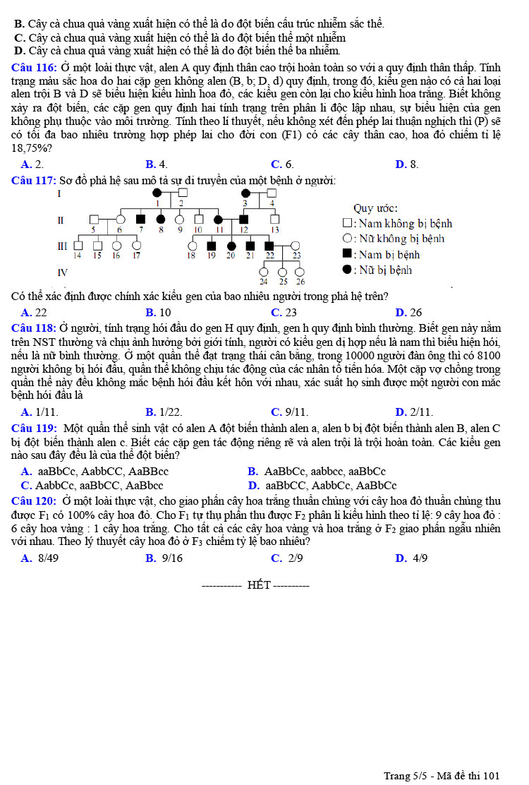 Đề thi thử Sinh học THPT Quốc gia 2023 sở GD&ĐT Hải Phòng (ảnh 5)