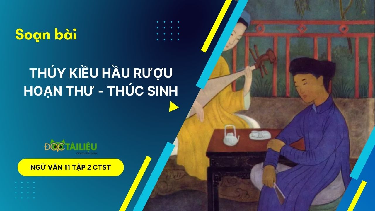 Soạn Bài Thuý Kiều Hầu Rượu Hoạn Thư Thúc Sinh Lớp 11 Ctst