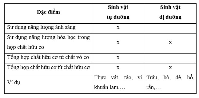 Một số đặc điểm của sinh vật tự dưỡng và sinh vật dị dưỡng