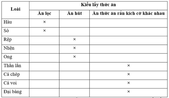 Điền tên một số loài động vật: hàu, sò, rệp, nhện, ong, thằn lằn, cá chép