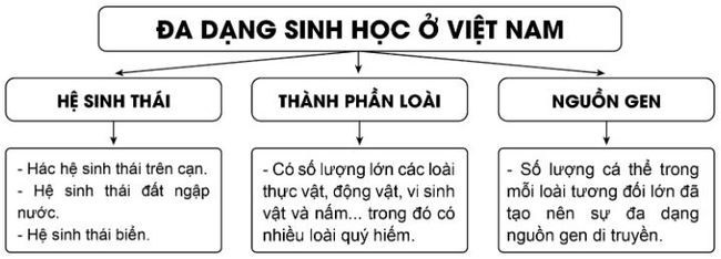 Luyện tập 1 Bài 10: Đặc điểm chung của sinh vật và vấn để bảo tồn đa dạng sinh học ở Việt Nam