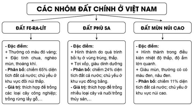 Luyện tập 1 Bài 9: Thổ nhưỡng Việt Nam