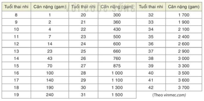 Giải Toán 8 Kết nối tri thức Biểu diễn dữ liệu bằng bảng, biểu đồ hình 2