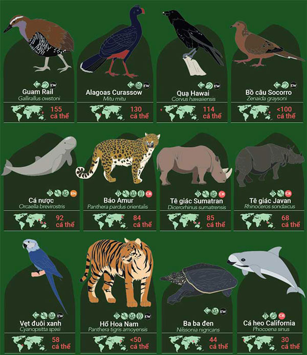 Một số loài động vật có nguy cơ tuyệt chủng cao