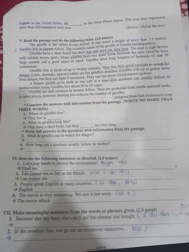 Đáp án đề thi tuyển sinh lớp 10 môn Anh tỉnh Long An 2024 2