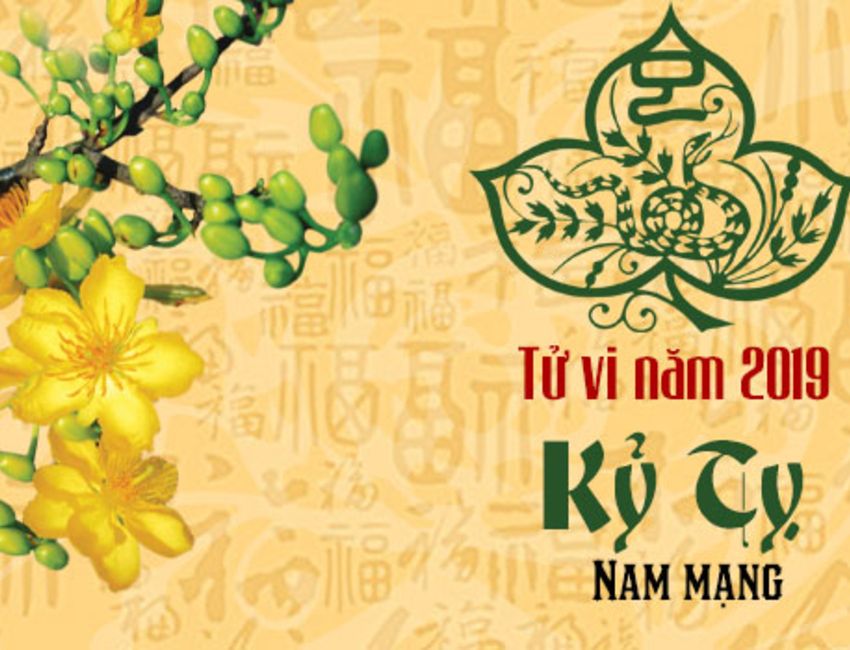 Tử vi kỷ tỵ 2019 nam mạng May mắn trong việc mua bán