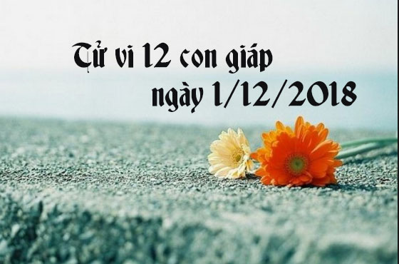 Tử vi 12 con giáp thứ 7 ngày 1/12/2018